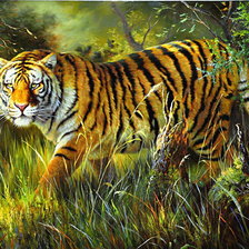 Схема вышивки «Tygrys»