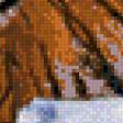 Предпросмотр схемы вышивки «Tygrys» (№679869)