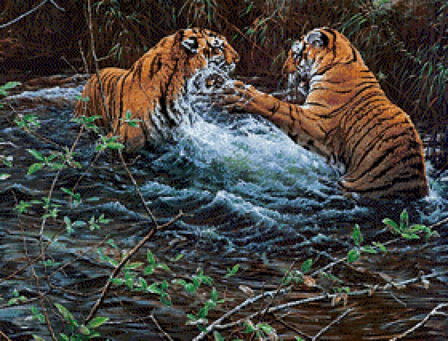 Tygrysy - tygrysy - предпросмотр