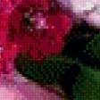 Предпросмотр схемы вышивки «букет» (№679932)