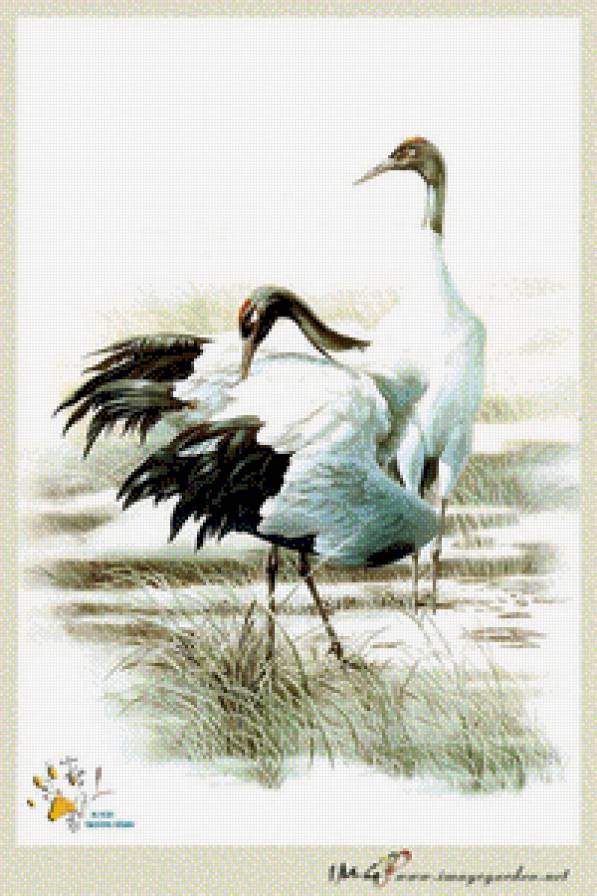 №680211 - предпросмотр