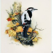 Схема вышивки «№680212»