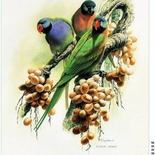 Схема вышивки «№680219»