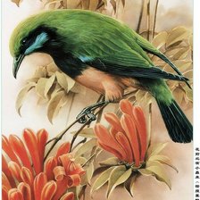 Схема вышивки «№680222»