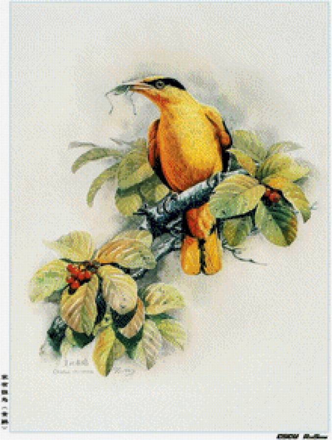 №680224 - предпросмотр