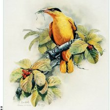 Схема вышивки «№680224»