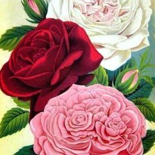 Схема вышивки «№680342»