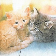 Схема вышивки «Котята»