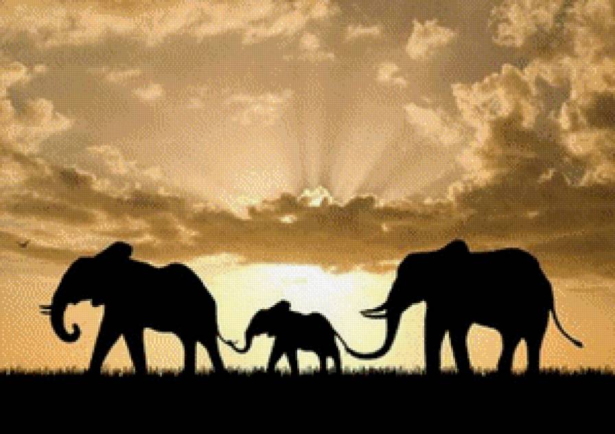 три слона - слон, африка, слоны, саванна - предпросмотр
