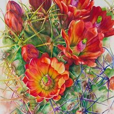 Схема вышивки «Кактус в цвету»