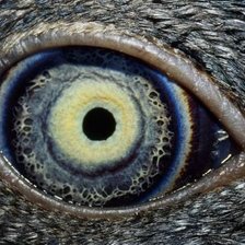 Схема вышивки «глаз3»