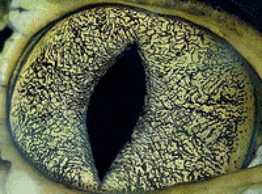 глаз4 - предпросмотр