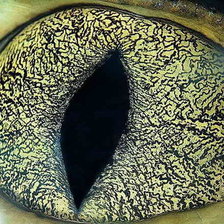 Схема вышивки «глаз4»