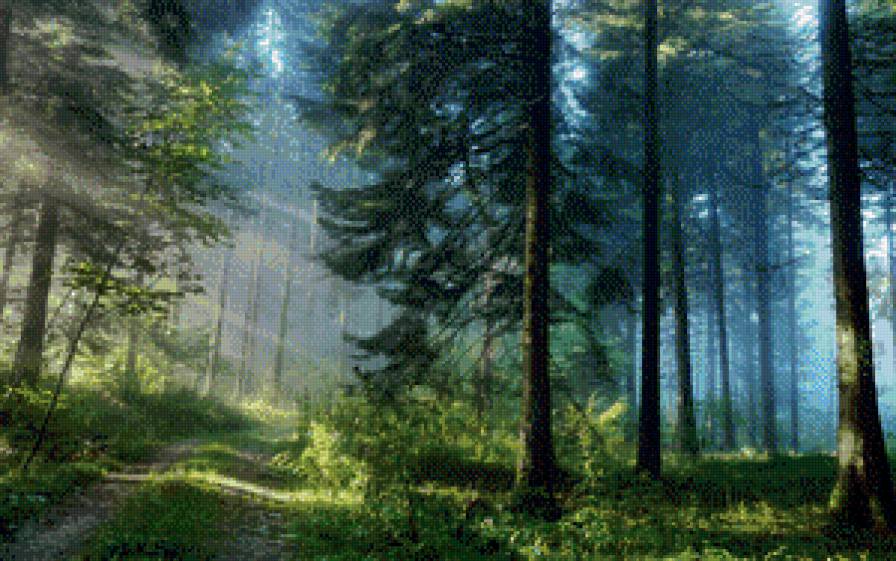 Сказочный лес - сказочный лес - предпросмотр