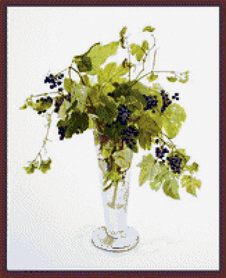 смородина Ф - предпросмотр