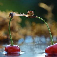 Схема вышивки «поцелуй»