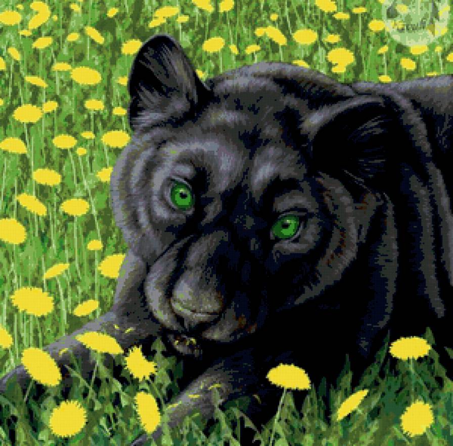 сюжет для подушки - животные, цветы, кошки, хищники - предпросмотр