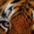 Предпросмотр схемы вышивки «тигр» (№680829)