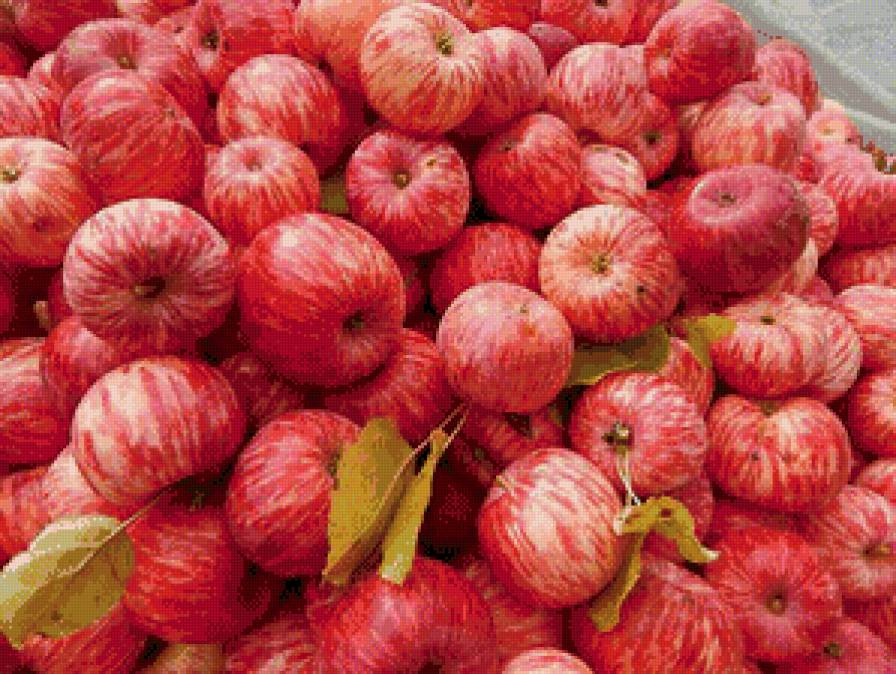 яблочки - яблоки, фрукты - предпросмотр