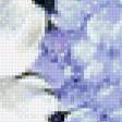 Предпросмотр схемы вышивки «№681174»