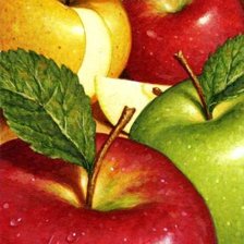 Схема вышивки «№681213»