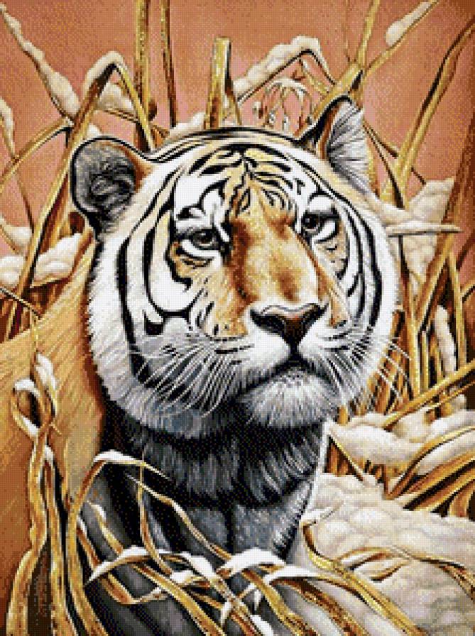 Грустный тигр - животные, дикие кошки - предпросмотр