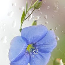 Схема вышивки «№681700»