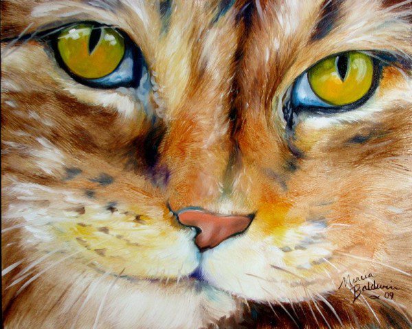 кот - котенок, животные, кошка, рисунок, кот - оригинал