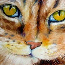 Схема вышивки «кот»