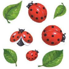 Схема вышивки «Божьи коровки»