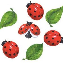 Схема вышивки «Божьи коровки 2»