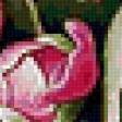 Предпросмотр схемы вышивки «пионы» (№681943)