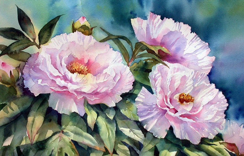 №681975 - цветы - оригинал