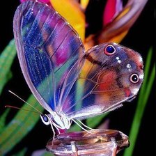 Схема вышивки «№681994»