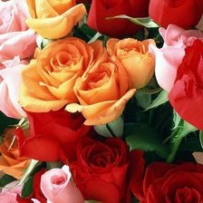 Схема вышивки «№681996»