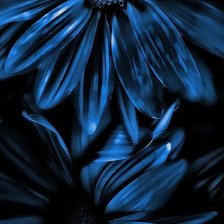 Схема вышивки «№682028»