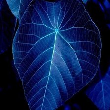 Схема вышивки «№682030»