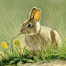 Схема вышивки «№682106»