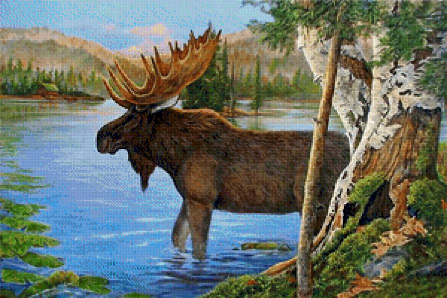 №682107 - предпросмотр