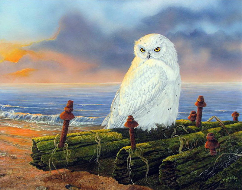 №682128 - оригинал