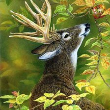 Схема вышивки «№682133»