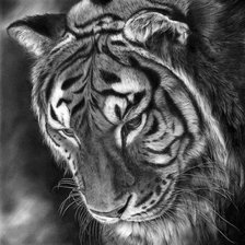 Схема вышивки «№682183»