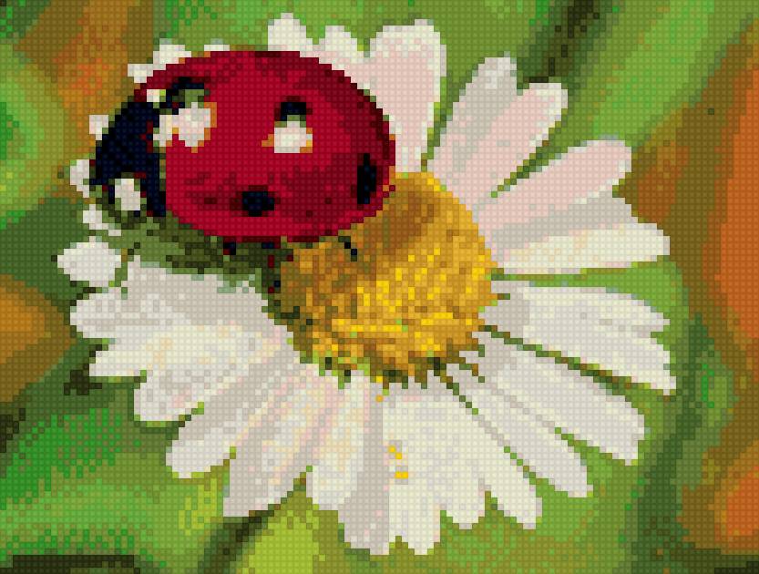 букашка на ромашке - предпросмотр