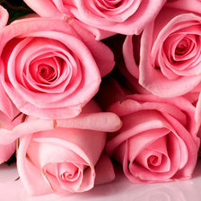 Схема вышивки «середина»