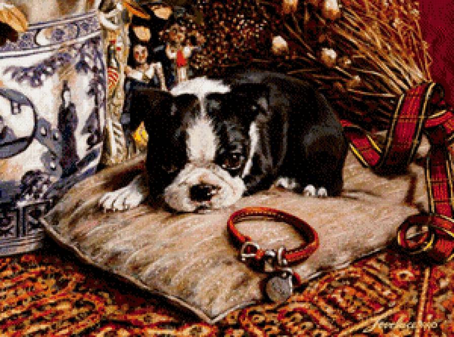 песик. хаед - песик. хаед - предпросмотр