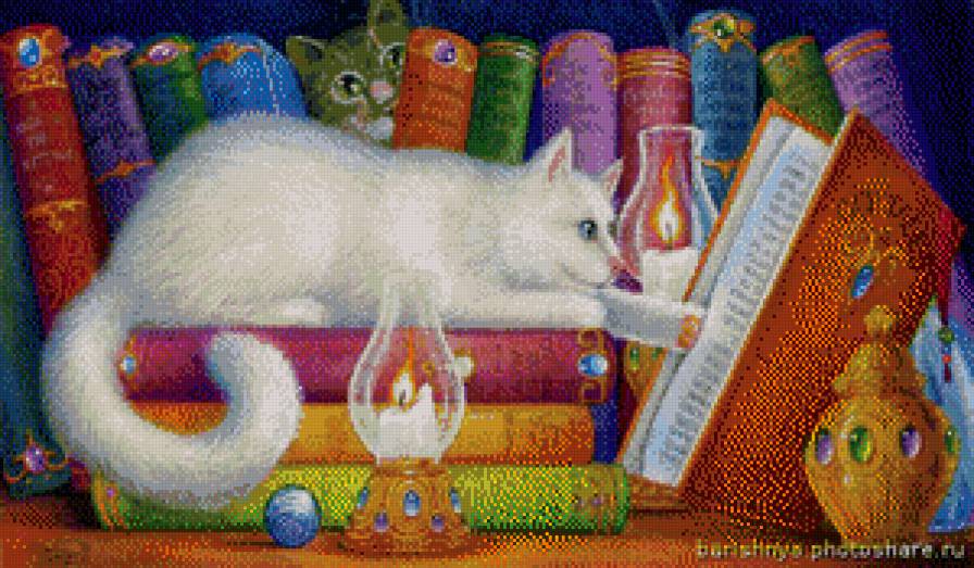 котик. хаед - котик.хаед - предпросмотр