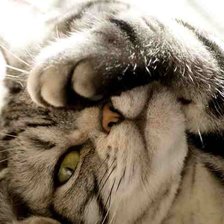 Схема вышивки «мур»