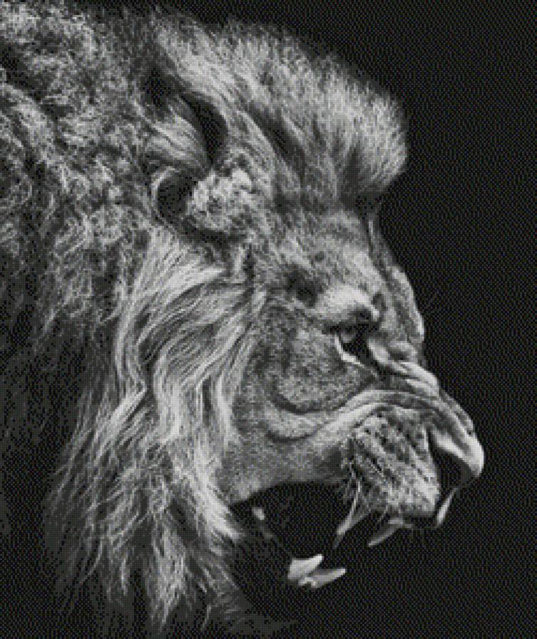 лева - предпросмотр