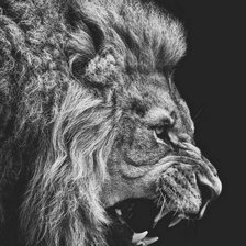 Схема вышивки «лева»