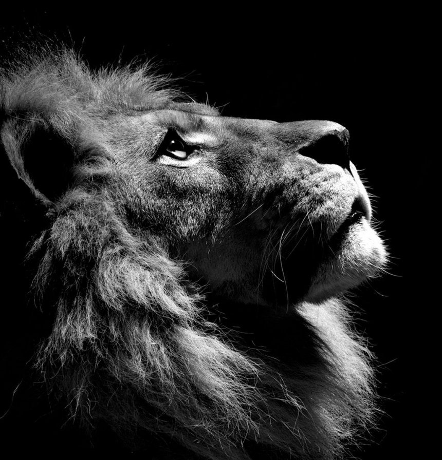 лева 1 - оригинал